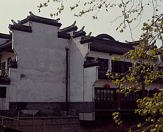 OPPO版黄色免费软件：极限竞速地平线5，墨西哥狂飙之旅，视觉与操控的终极盛宴