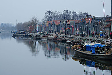 人与人交配的软件：神经共生竞速，意识融合进化之旅