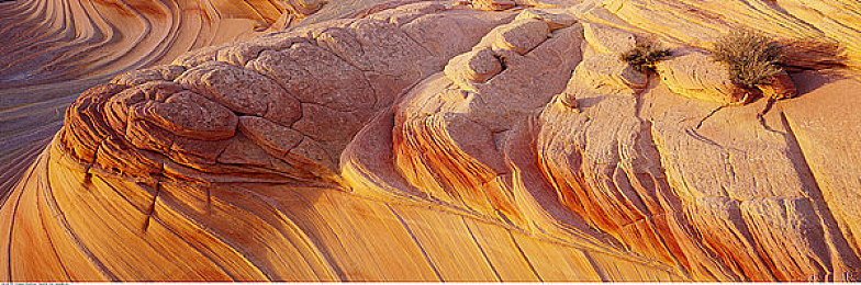 福利三区四区：探索隐藏赛道与稀有车辆，地平线系列秘籍全解析-1