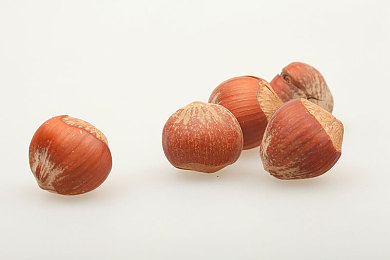 国精一区二区：极限竞速地平线，征服专业赛道与自由探索的双重世界-3