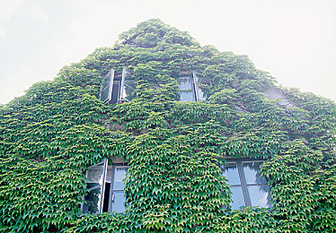 亚洲一：极东征途，驭风于霓虹与险峰之间-1