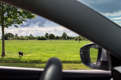 爱情岛  论坛成人AV：心路旅程，虚拟岛屿上的情感驾驶与社交抉择-2