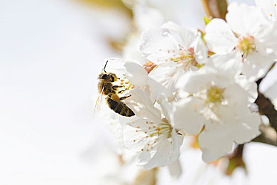 h成人av：极速境界，拟真狂飙，虚拟赛道上的硬核试炼