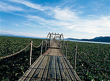 妻子3p:末世三人行,末日驰骋共生之路开启情感驾驶新纪元-2