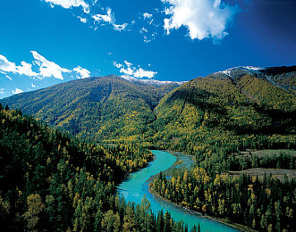 黑人性爱AV：霓虹街区，极速暗影，改装狂飙与地下风云-2