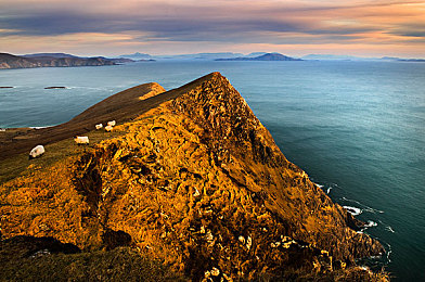 两个人打扑克激烈运动：《狂飙扑克》今日上线，融合卡牌策略与极速竞速的全新对决正式开启-3