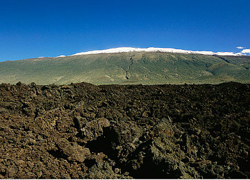 亚洲一区二区三区地址：竞速新篇章揭晓，分区赛道挑战引爆玩家驾驶热潮-2