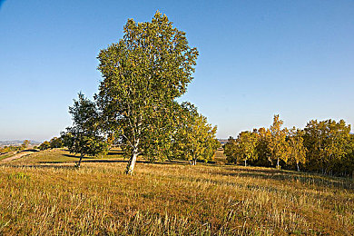 成人福利App导航：极限狂飙地下车神，深度改装与智能导航开启硬核赛车盛宴-2