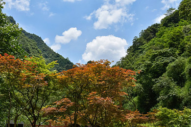 10大禁止安装应用程序：《赛博驾驶2077》玩家必看，这些危险车载软件可能让你存档全毁-3