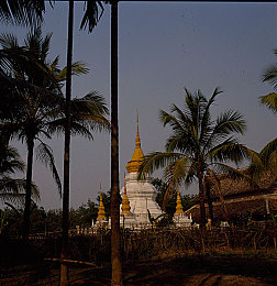 很色的软件：极致视觉竞速，光影与速度的沉浸交响