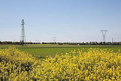 免费的黄色软件3.03OPPO：极速狂飙新版上线，动态天气赛道与改装攻略全解析