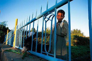 十大操B软件：极致操控，征服赛道，体验真实驾驶的纯粹乐趣-3