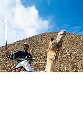 婷婷五月花：疾驰绚烂花海，感受墨西哥季节变迁的驾驶盛宴-2