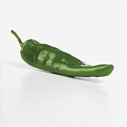 色狼APp：极速穿梭色彩长廊，视觉竞速新体验-3