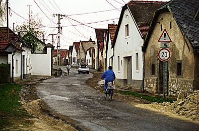 玛雅maya继续浏览登录：穿越时空的轮胎印记，古老文明与现代速度的对话-2