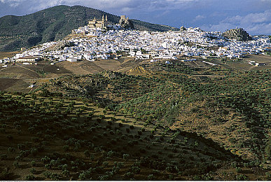 欧洲成人一区二区三区：纽博格林至保罗里卡德，征服竞速游戏三大传奇赛道的终极指南今日发布-2