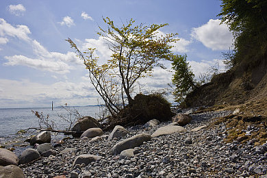国产AV看片：国产赛车新作极速追光上线，视觉与操控的双重盛宴等你体验-3