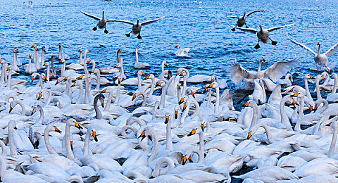 爱情岛入口：双人共驾，墨西哥画卷中谱写默契终章-2