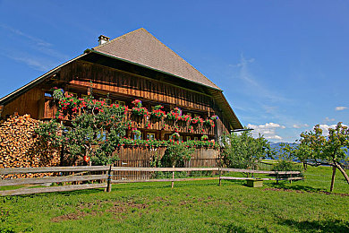 一次去巴厘岛按摩的经验作文：《巴厘岛按摩模拟器》正式上线，在虚拟海岛学习真实疗愈技艺-4