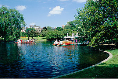 操人的app：极速狂飙中的心智迷宫，赛道上的黑暗森林博弈