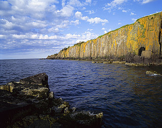 男人和女人差差差的APP：极速对决新玩法，性别特性激活赛道多元策略-3