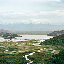 男人与雌性宠物交2O24：《赛博宠物车手2024》正式上线，深度人机羁绊重塑竞速游戏新体验