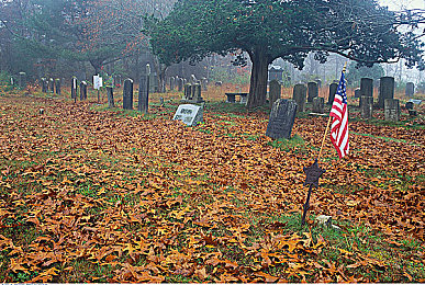 17c.c-起草蜜桃视频：霓虹都市，极速幻想，蜜桃味漂移传奇-3
