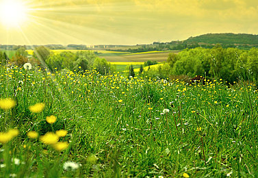 四个少妇的特殊按摩：指尖疗愈暗涌，旧镇谜云待揭