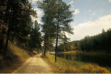 黄色软件网站下载3.0.3免费oppo版大全装扮免费：街头涂装王深度评测，个性化改装与涂装系统全解析-2