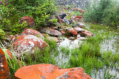 18大黄色软件。：极速狂飙，征服都市地下赛道的终极改装之旅-3