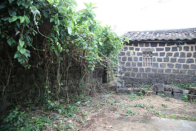 机机和机机手机2025版下载：变形纪元，驰骋未来都市的机甲竞速革命-4