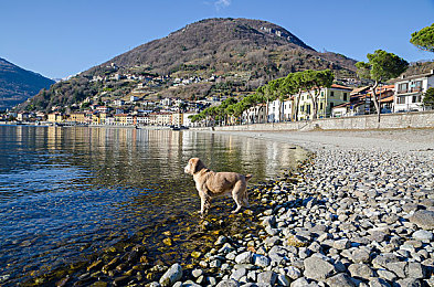 spanking汉责文化fm：霓虹电台问答夜行，复古驾驶与趣味责罚之旅-2