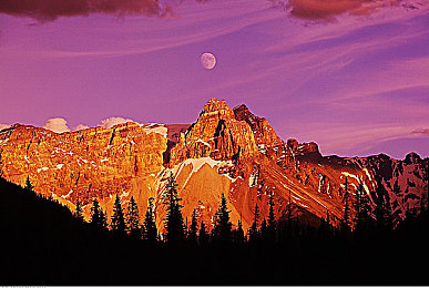 被操软件：黑客与赛车交织，数字战场上的极速入侵-2