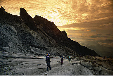 四个少妇按摩记：旅途中的机械诗篇，女技师的移动维修站物语