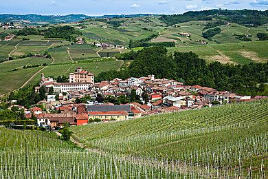 打扑克又喊又叫的软件：狂飙牌局，极速赌徒的赛道博弈-2