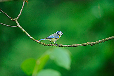 吃瓜不打烊明星黑料：极速狂飙中揭露隐秘，方向盘后操控赛场风云-2