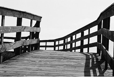 18岁禁止APP:暗夜城狂飙,速度与欲望的边界交锋-2