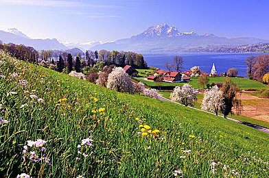 红豆2.0多功能：模块化载具，开放世界驾驶新纪元-3