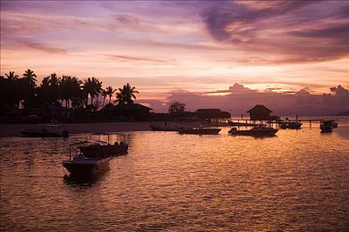 黄色软件免费下载3.0.3：疾风炫彩涂装，街头极速新章