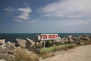 亚洲AⅤ成人电影：夜赛新标杆，极速地平线霓虹都市以极致视听与硬核物理重塑竞速体验-2