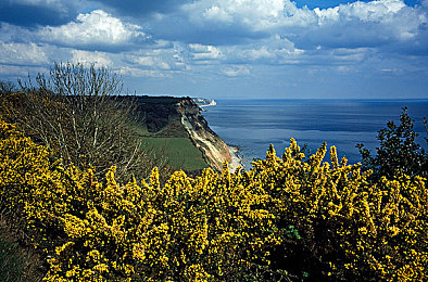 男生用鸡鸡差女生的软件：弯道与直道的性别策略竞速之旅-1