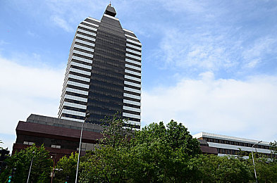 男生和女生差差免费的软件：极速定制风驰幻想上线，性别差异化设计引领赛车游戏新潮流-2