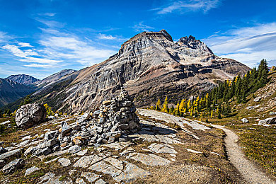 东京热搜app下载安装：极限竞速地平线5东京扩展包上线，雨夜霓虹街头漂移全攻略-2
