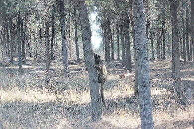 男生和女生差软件:虚拟驾驶性格实验室上线,用方向盘打破刻板印象-3