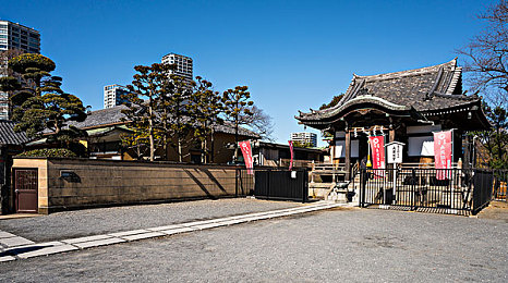 十八岁禁止访问：夜光城狂飙，成人世界的速度与抉择