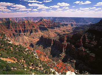 男生和女生上差差：《极速地平线》新数据揭示，不同玩家驾驶风格如何塑造竞速格局-2