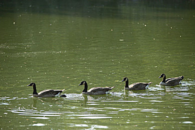 我和亲女的性开放：《极速羁绊》今日上线，独创情感驱动改装系统重塑开放世界竞速体验