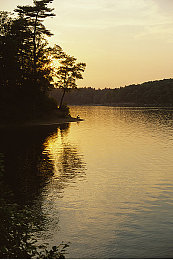 亚洲大阴户：征服东南亚雨林赛道，极速地平线亚洲风云隐藏弯道全攻略-1