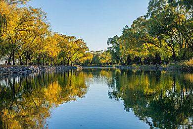 自由性别娇小枯瘦的隐喻和历史背景：疾驰的意志，流动的躯壳，赛博座驾的符号革命-4