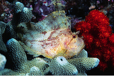 亚洲一区二区三区日本：极速穿梭，虚拟东亚的弯道诗篇与竞速版图-4